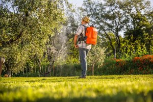 bomba de mochila electrica ergo 15l