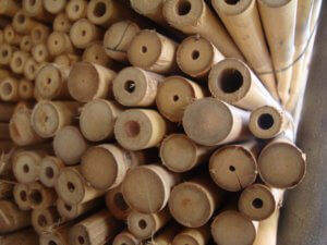 Cañas Tailandesas de bambú