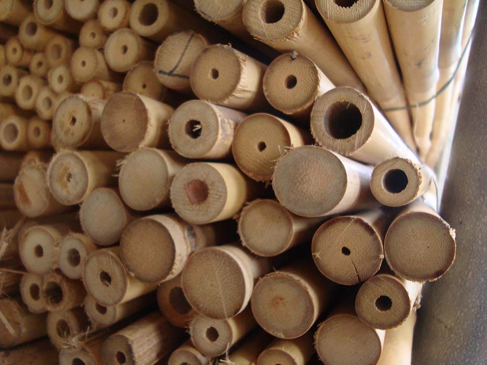 Medias cañas de bambú natural cortadas - Agricheap