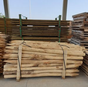 venta de postes de madera de acacia para agricultura