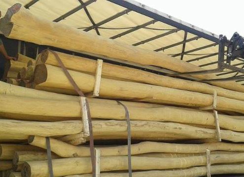 postes de madera de acacia