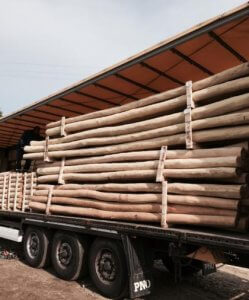 postes de madera de grandes dimensiones de acacia