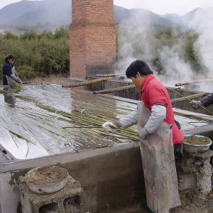 bambu de decoración lavado