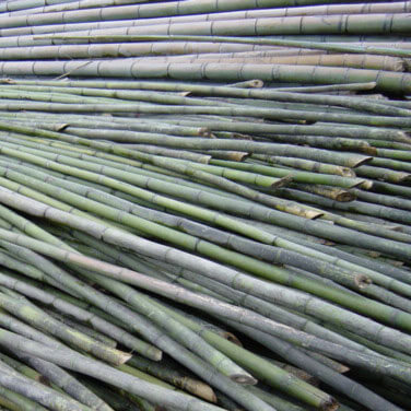 Medias cañas de bambú natural cortadas - Agricheap