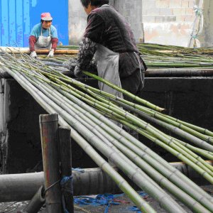 bambú decorativo en fábrica