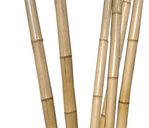 Bambú deco