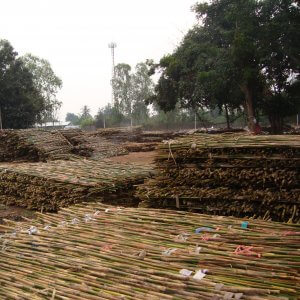 cañas de bambu resistentes