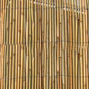 Cañizo de bambú