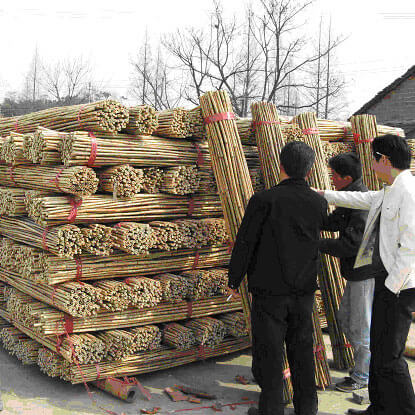 comprar palet de bambú