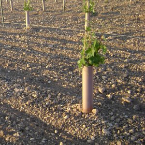 protector de cultivo con autocierre