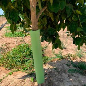 Protectores de cultivo - Para pistacho, olivo, almendro, vid, aguacate