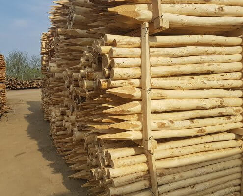 postes de madera de acacia plantaciones